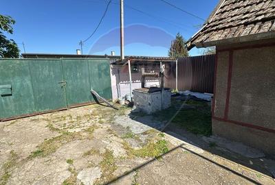 Casă individuală cu 3 camere cu Teren 2241 Mp în Sânnicolau Român - 11