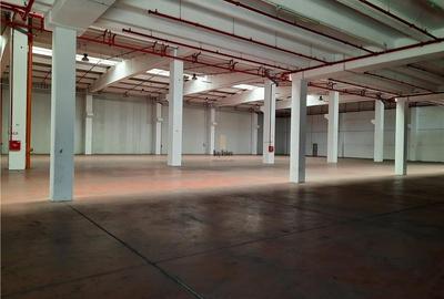 Spatiu Industrial - 2300 mp - Productie - Depozitare - 9