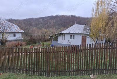 Casa cu 1000 m2 teren, 40 km Sinaia, 15km Pucioasa - 3