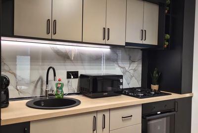 Apartament cu 2 camere decomandat în Roșu - 3