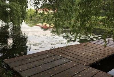 Teren Construcții intravilan de 2100 mp, în Snagov