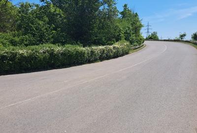 Teren Construcții intravilan de 2500 mp, în Agigea - 2