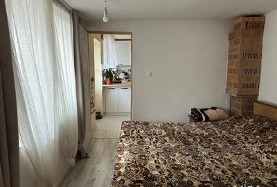 Casă cu 4 camere cu Teren 630 Mp în Ilia - 2