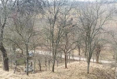 Casă cu 4 camere în Răchitova - 6