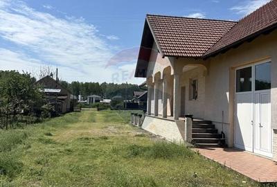 Casa cu 5 camere finisata si 10.400 m2 teren de vanzare in BOTIZ SM - 11