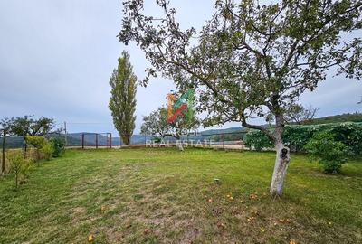 Teren Investitie- 1730 mp-Cabana construita 60 mp - 16