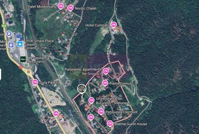 Teren extravilan in Sinaia (25 euro/mp) - 1