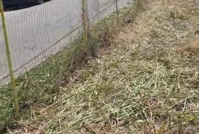 Teren de 500 mp, în Săftica - 2