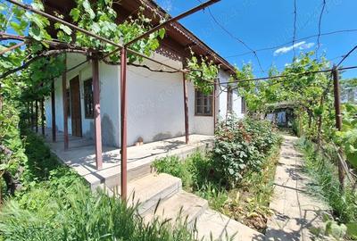 Casă cu 6 camere cu Teren 1668 Mp în Stăncuța - 8