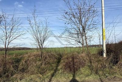 Teren de 14400 mp, în Aroneanu - 5