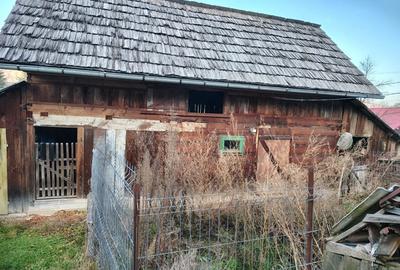 Casă cu Teren 1400 Mp în Moisei - 5