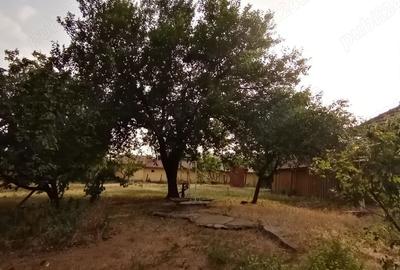 Casă cu 3 camere în Cioranca - 4