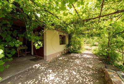 Casa batraneasca – Glambocelu, com. Bogati, Arges! - 3