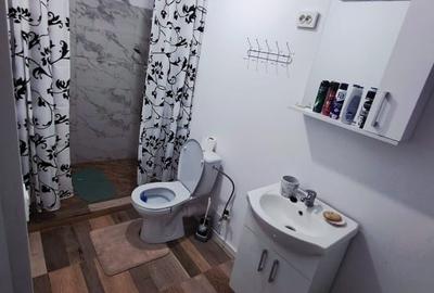 Casă individuală cu 5 camere cu Teren 1500 Mp în Variaș - 3