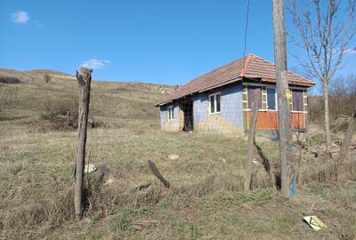 Casă cu 2 camere în Cătina - 4