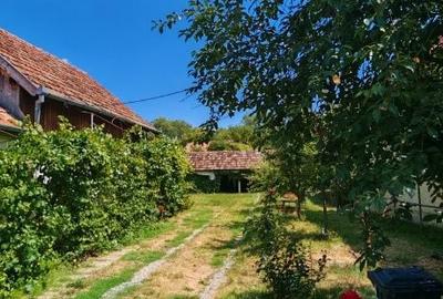 Casă cu 2 camere în Bita - 2