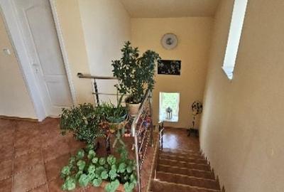 Ciopani vila 5 camere teren 4000 mp - 31