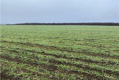 Teren Construcții intravilan de 28000 mp, în Est - 2