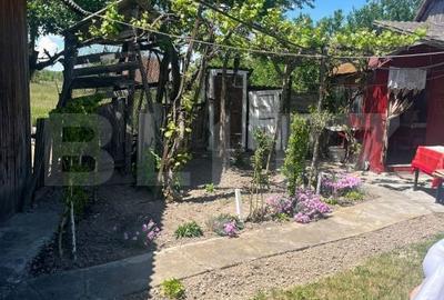 Casă cu 2 camere cu Teren 3548 Mp în Doba - 4