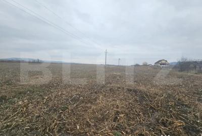 Teren de 9000 mp, în Central - 2