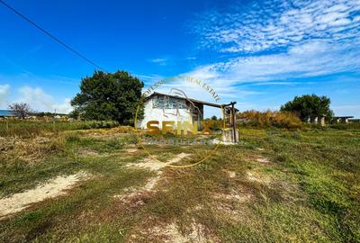 Chiselet, Calarasi, teren intravilan 62000 mp, ferma, logistica, depozitare - 13