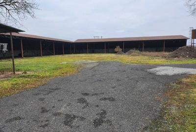 Spațiu industrial, de 1,800 mp, în Voiteg - 6