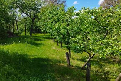 Casa cu teren de vanzare in orasul Covasna - 6