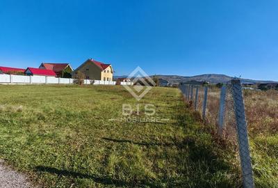 Teren 800 mp - Unirea Teren 800 mp - Unirea - 1