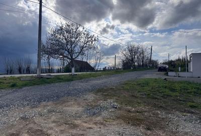 Teren Construcții intravilan de 2000 mp, în Daia - 4