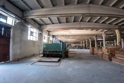 Spatiu industrial - de vanzare - GURA HUMORULUI - 4