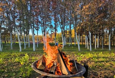 Gradina urbana pentru recreere - Baneasa - 5