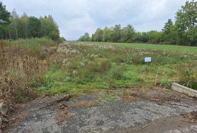 Vand teren intravilan Gurahont, str. Crisan(fosta ferma pomicola) - 1