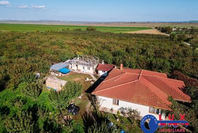 ID 7785 LIVADA SABANGIA DE VANZARE - 12