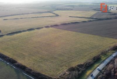 Teren Construcții intravilan de 1400 mp, în Moșnița Nouă - 7