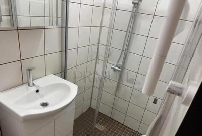 Garsoniera-Mobilata-Utilata-Buziasului - 4