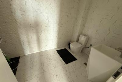 Penthouse 165 mp utili,  sediu firma - 15