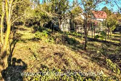 Teren de 2698 mp, în Gura Ocniței - 4