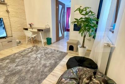 Casa renovata in Luna, langa Campia Turzii - 4