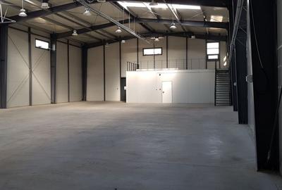 Spatiu de depozitare si productie Mogosoaia - 2