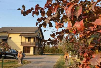 Vila P 1 M Cazasu 510mp construiti si teren 3774 mp - 1