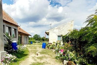 Casă cu 3 camere în Central - 3