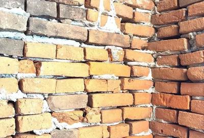 Casă cu Teren 3384 Mp în Bârsănești - 2