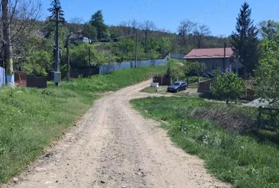 Casa batraneasca - 1
