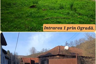 Casă cu 4 camere în Cărpinet - 3