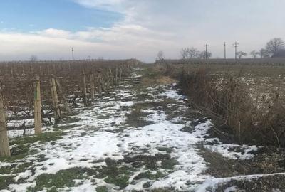 Teren de 4019 mp, în Exterior Vest - 4