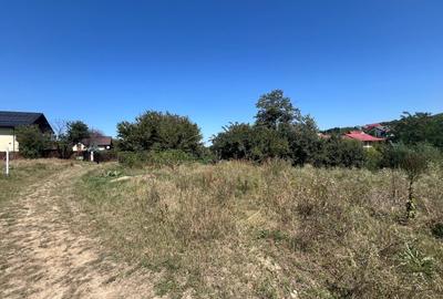 1100 mp Barnova , str Capela Inculet - 2