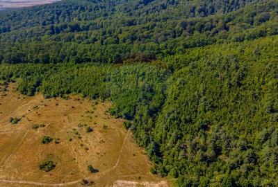 Teren de 6000 mp, în Crizbav - 2