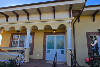 VILA LUX DE VANZARE -PANCIU-STRAOANE - 51