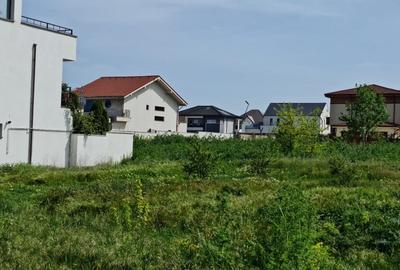 Teren Construcții intravilan de 750 mp, în Palazu Mare - 3