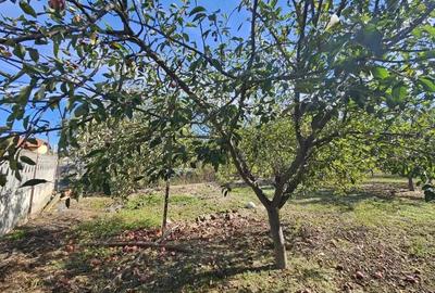 Vanzare teren *intravilan 308 mp cu utilita?i* - Sat Ceauru, Comuna Bale?ti - 2